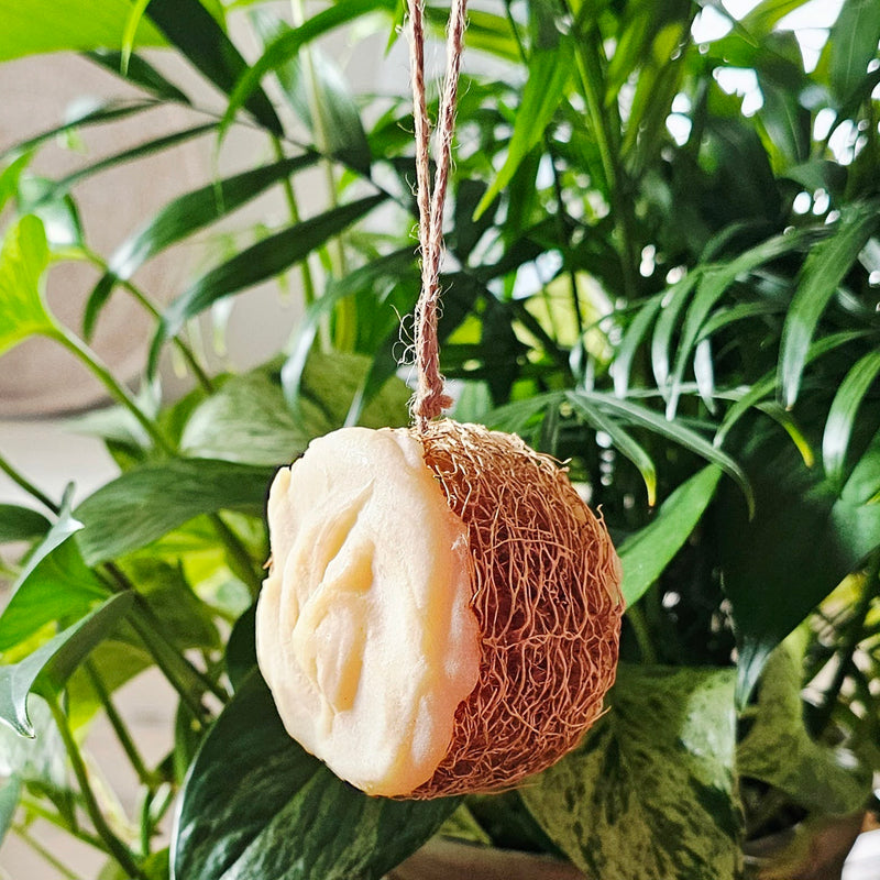 Lemongrass Loofa Bar