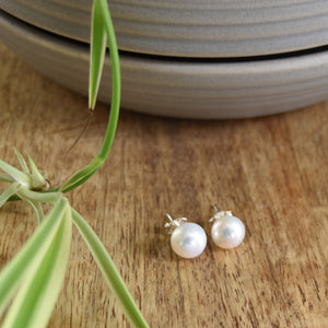 Pearl Studs